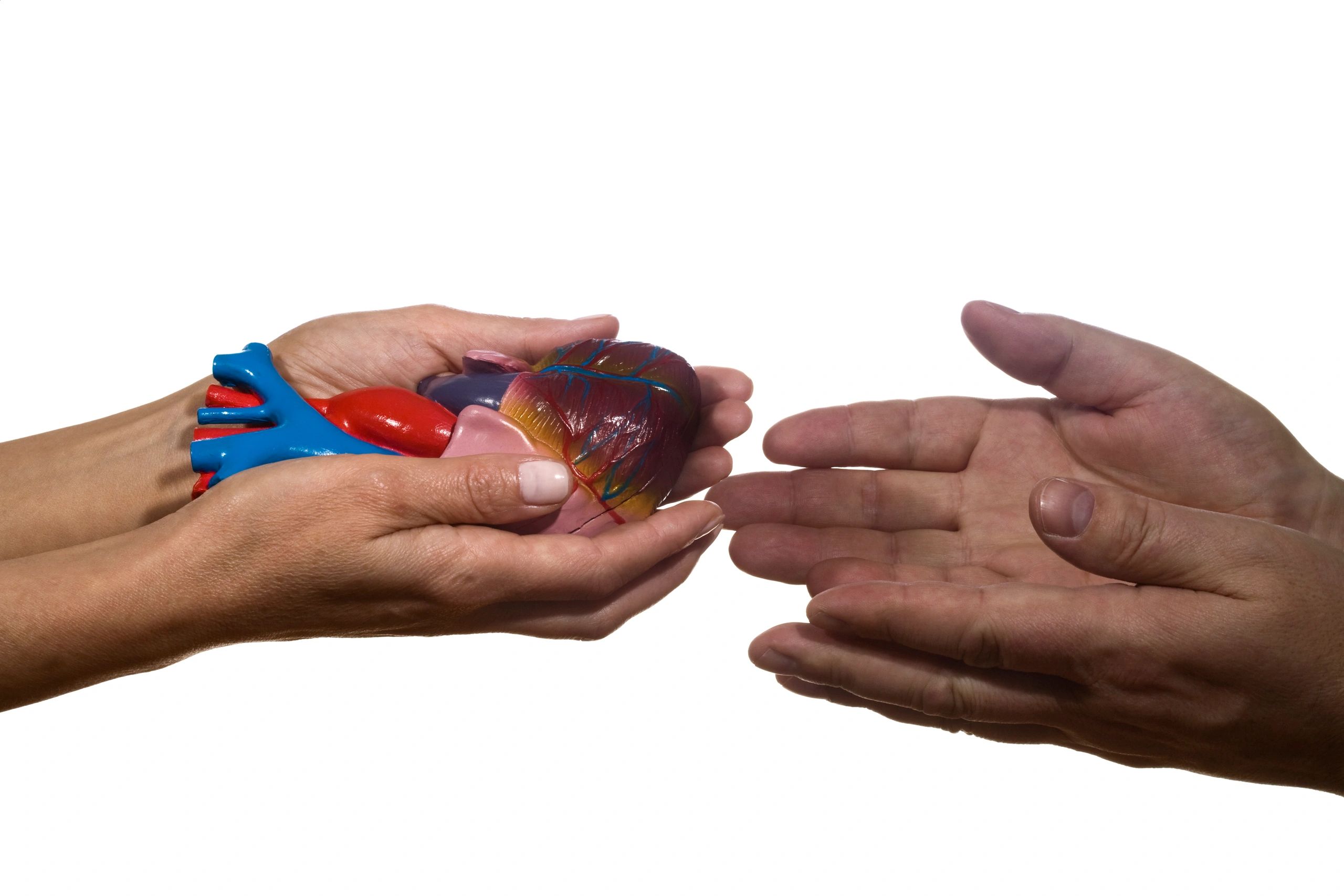 organ donation documentary