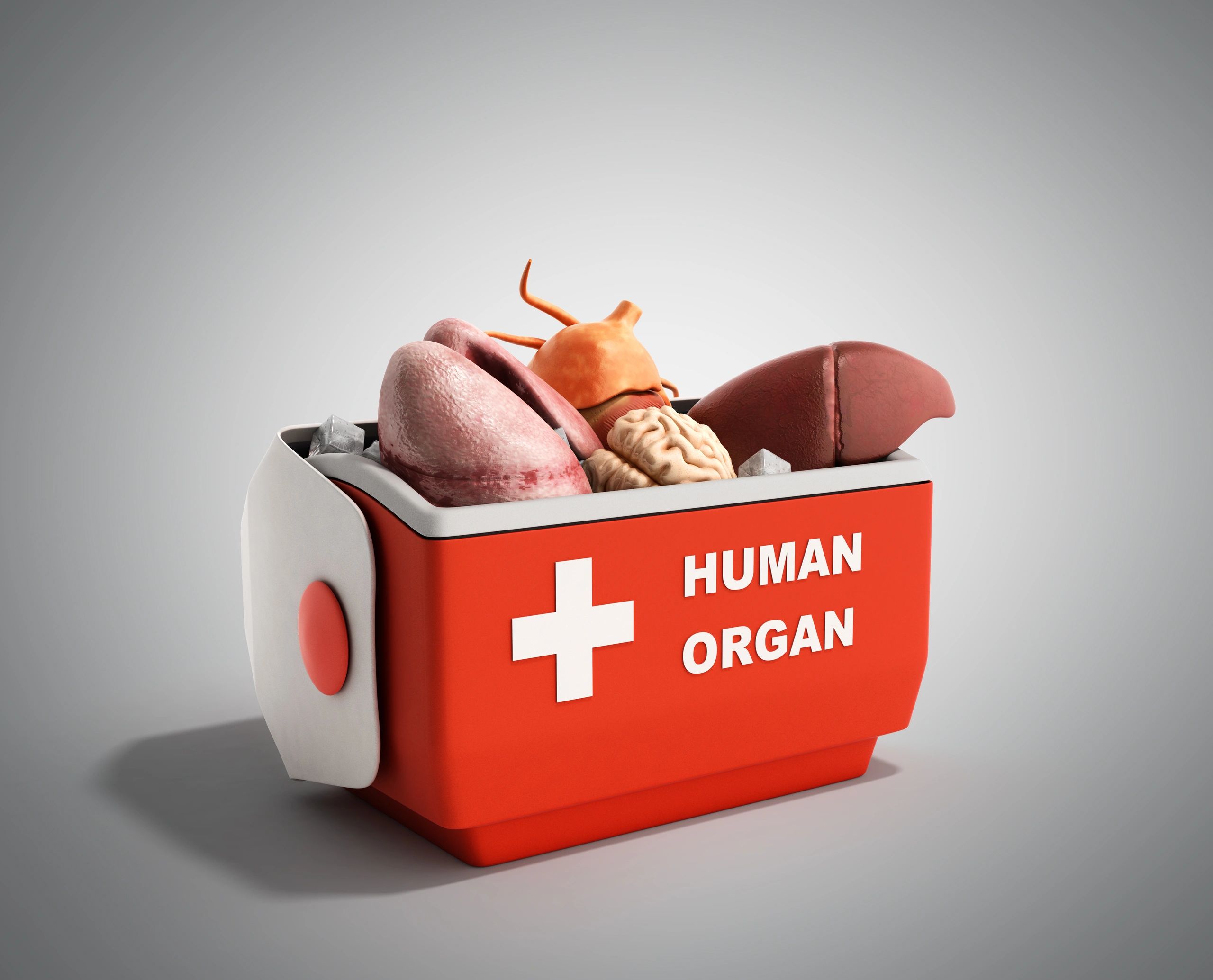 organ donation documentary